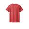 Next Level Vintage Colors Unisex Tri-Blend T-Shirt